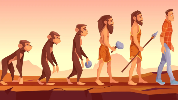 UPSC Syllabus For Anthropology